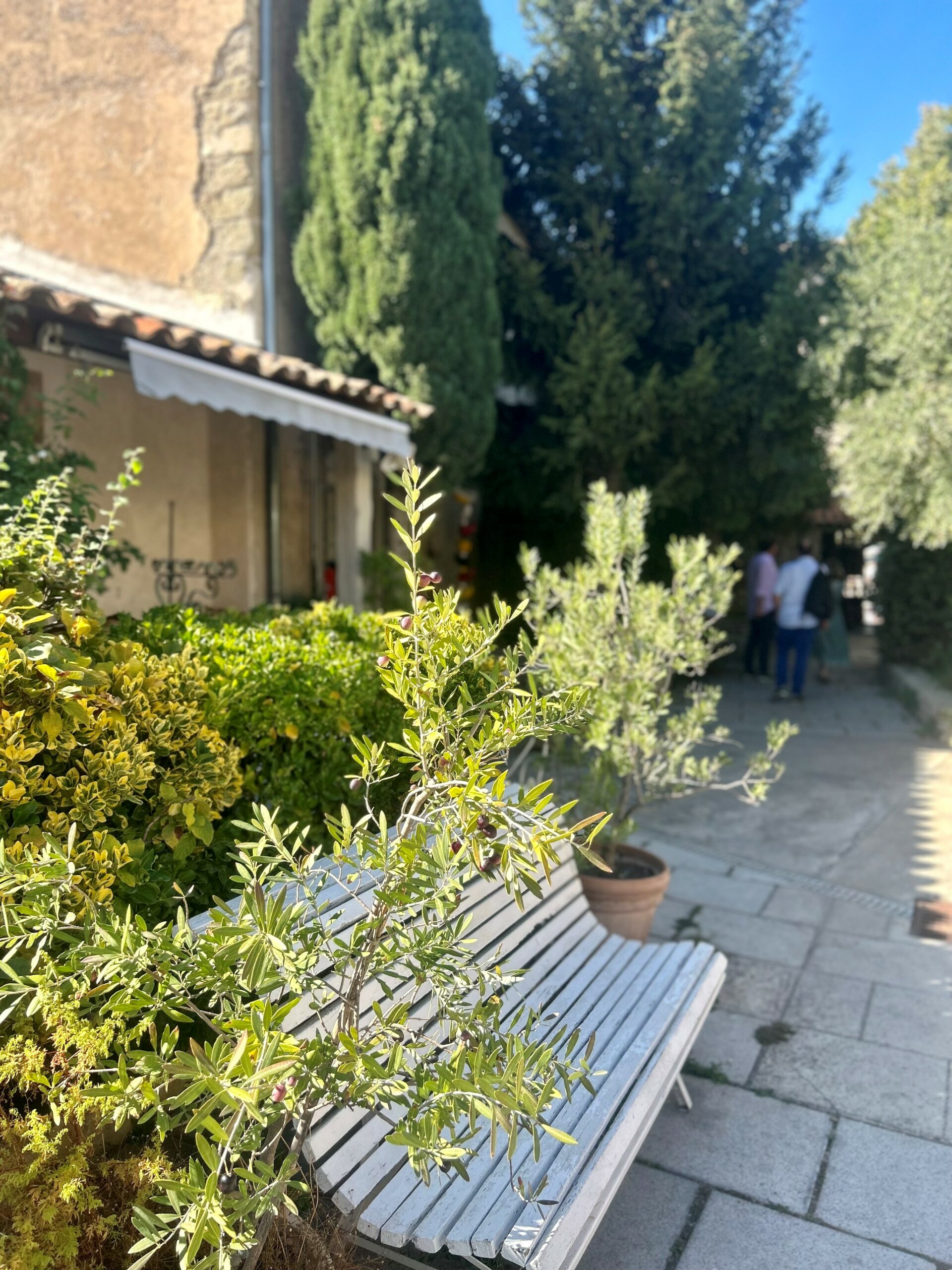 IS3 DIAGNOSTIC IMMOBILIER ISLE SUR LA SORGUE