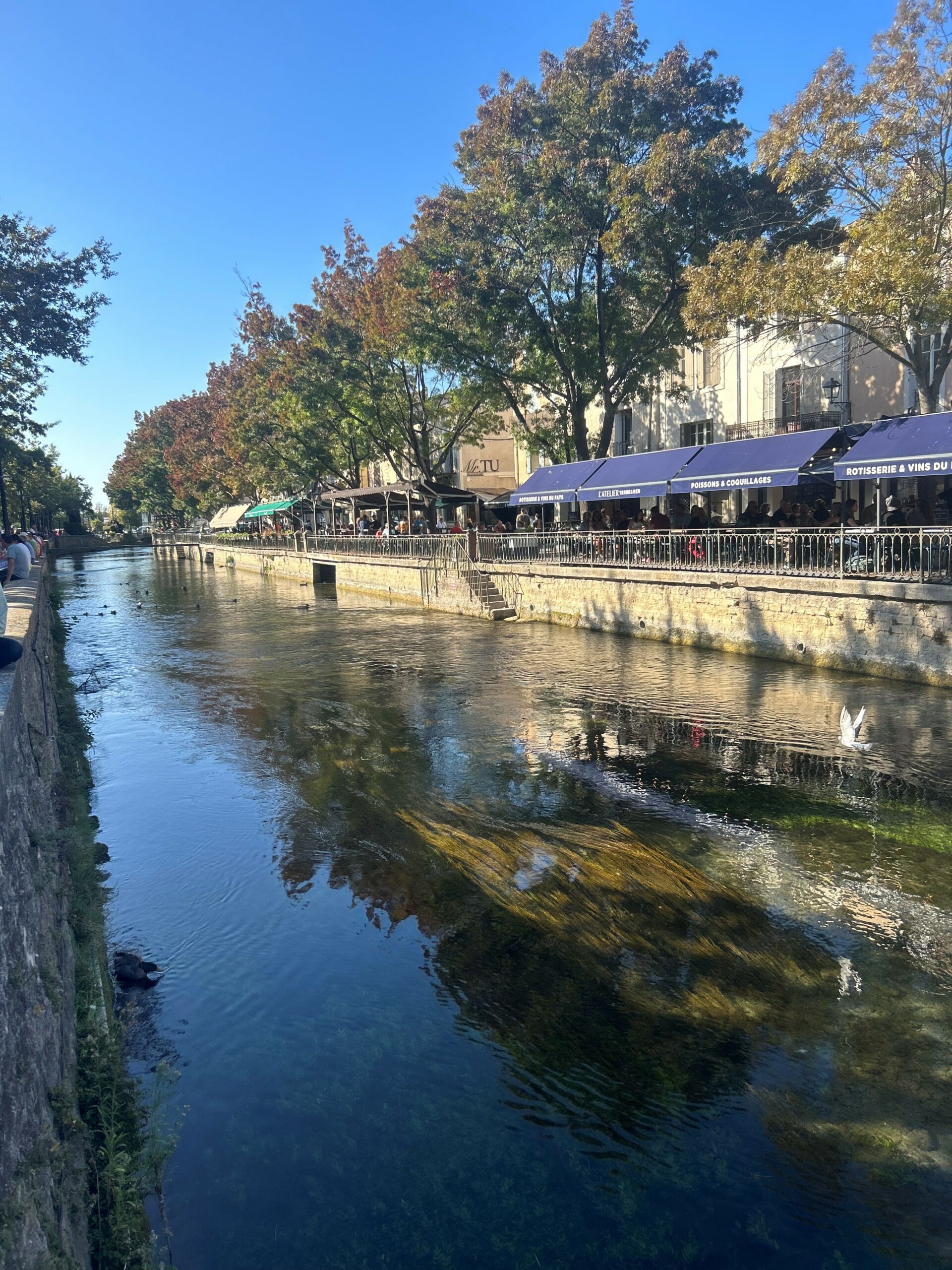 IS6 DIAGNOSTIC IMMOBILIER ISLE SUR LA SORGUE