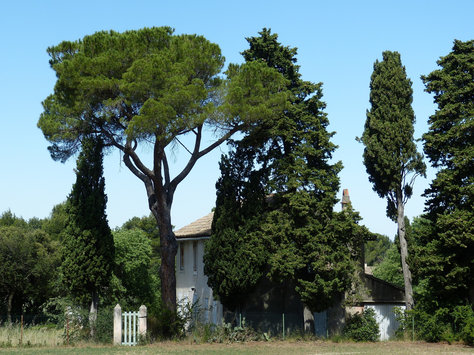 provence-1602498_1920 DIAGNOSTIC IMOBILER CHEVAL BLANC