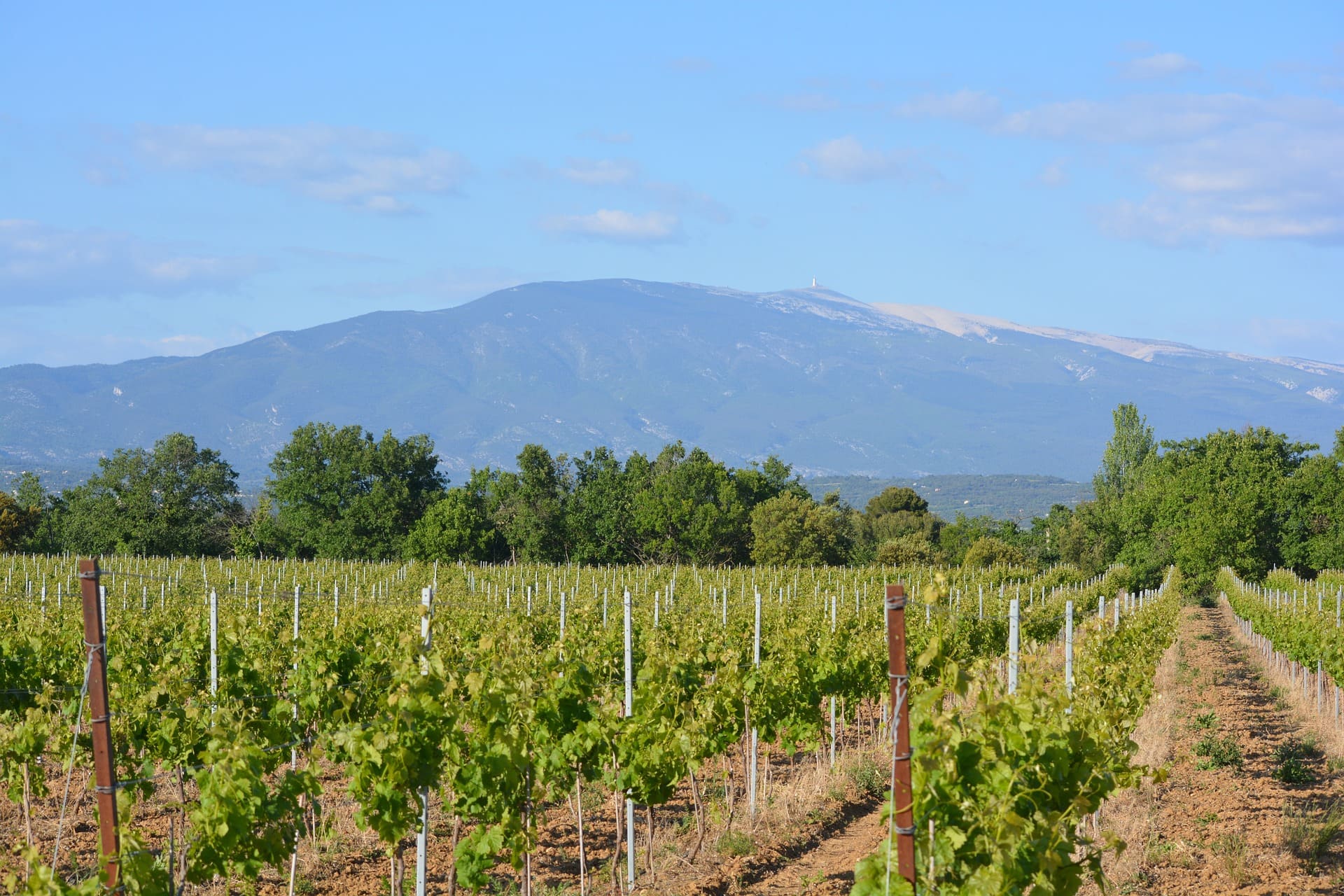 vineyard-1411325_1920 (1) Diagnostic immobilier carpentras